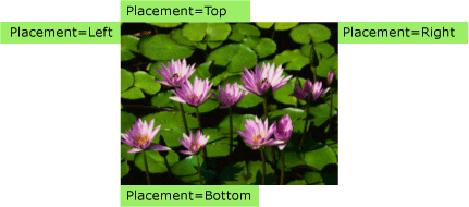 Image with four popups Image with four popup controls