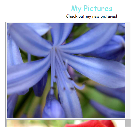 StylingIntro_PhotosAsImages Photo image